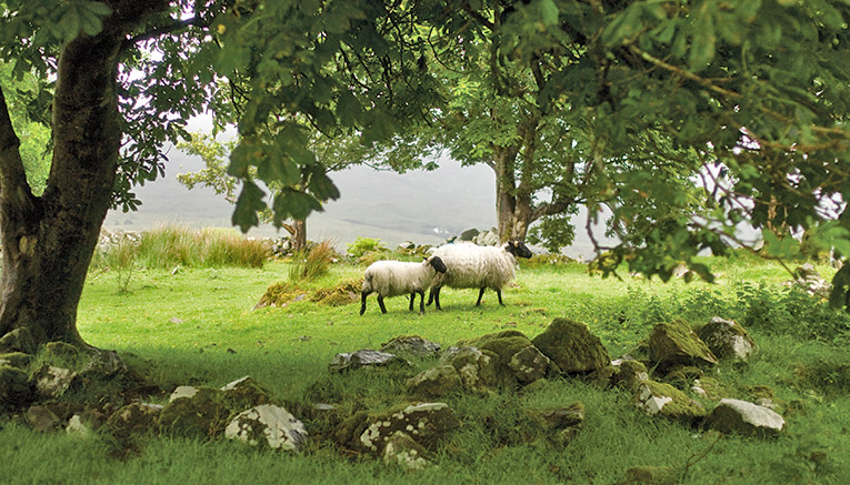 Birq-ireland-biking-7
